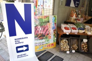 SONY DSC